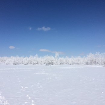 Nose Hill Park - Parks Near Me - Calgary, Alberta