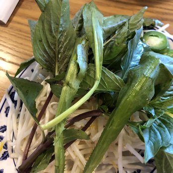 Pho Vy - Veggies with ngo gai - Vietnamese Near Me - Kent, Washington Pho Vy - Veggies with ngo gai - Vietnamese Near Me - Kent, Washington