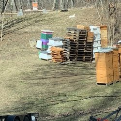Springcity bee farm