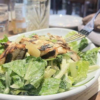 The Americano - Chicken Caesar - Seafood Near Me - Stamford, Connecticut The Americano - Chicken Caesar - Seafood Near Me - Stamford, Connecticut