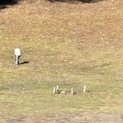 Blacklake Golf Resort - Poor guy picking up range balls by hand one at a time. ‍