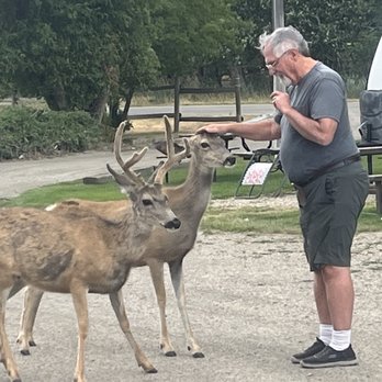 Big Sky Rv Park - Some of the neighbors at Big Sky RV Park! - RV Parks Near Me - Anaconda, Montana Big Sky Rv Park - Some of the neighbors at Big Sky RV Park! - RV Parks Near Me - Anaconda, Montana