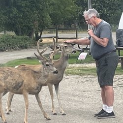 Big Sky Rv Park - Some of the neighbors at Big Sky RV Park!