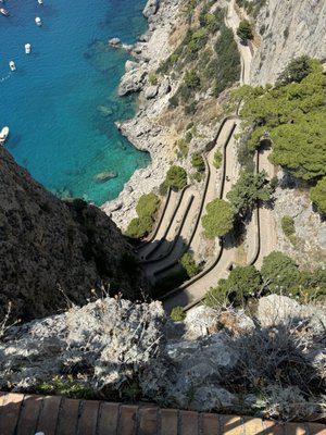 Gardens of Augustus by null