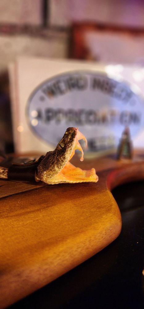 Salty Dog - taxidermy in Tacoma, WA