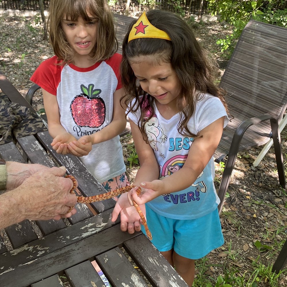 Learn Nature and Party Animals - Holding a snake - Party & Event Planning Near Me - San Antonio, Texas