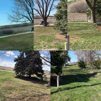 Double A Lawns - a tree and a pond - Lawn Services Near Me