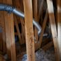 Photo of Dryer Vent Wizard Greater Chicago