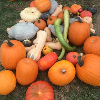 Hollin Farms - Fruits & Veggies Near Me - Delaplane, Virginia