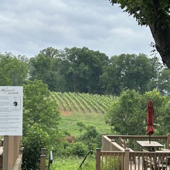 Barboursville Vineyards - Wineries Near Me - Barboursville, Virginia Barboursville Vineyards - Wineries Near Me - Barboursville, Virginia