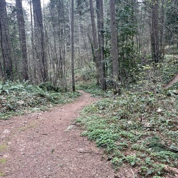Forest Ridge Park - Parks Near Me - Bremerton, Washington Forest Ridge Park - Parks Near Me - Bremerton, Washington