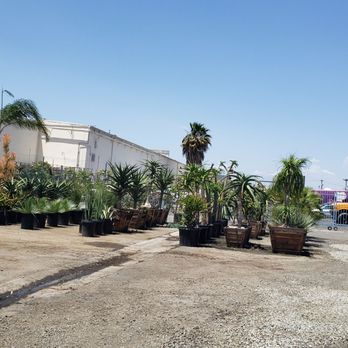 Instant Jungle - Nurseries & Gardening Near Me - Orange, California