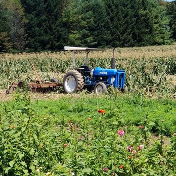 Rottcamp Brothers Farm - a tractor in a corn field - Farmers Market Near Me - Glen Head, New York Rottcamp Brothers Farm - a tractor in a corn field - Farmers Market Near Me - Glen Head, New York