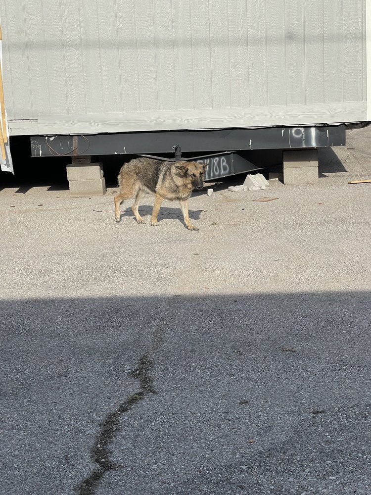 OKC VET CAMPUS Updated October 2024 11 Photos 601 W Reno Ave
