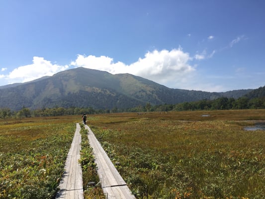 Oze National Park by null
