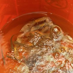 New Coastside 2 Bait & Tackle - Live Minnows and Shrimp