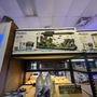 Photo of Rivers to Reefs Aquariums
