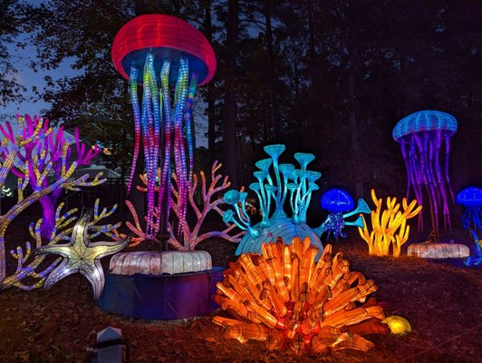 Koka Booth Amphitheatre by null