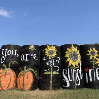 P-6 Farms - Farmers Market Near Me - Montgomery, Texas P-6 Farms - Farmers Market Near Me - Montgomery, Texas