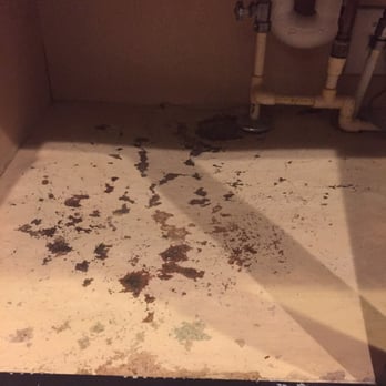Action Plumbing Heating Air Conditioning and Electric - Damage to my cabinet - Plumbing Near Me - Madison, Wisconsin Action Plumbing Heating Air Conditioning and Electric - Damage to my cabinet - Plumbing Near Me - Madison, Wisconsin