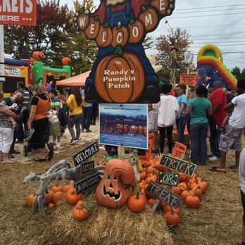 Randy's Pumpkin Patch - Pumpkin Patches Near Me - Lawrenceville, Georgia Randy's Pumpkin Patch - Pumpkin Patches Near Me - Lawrenceville, Georgia