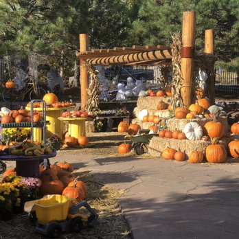 Viola's Flower Garden - Nurseries & Gardening Near Me - Flagstaff, Arizona Viola's Flower Garden - Nurseries & Gardening Near Me - Flagstaff, Arizona