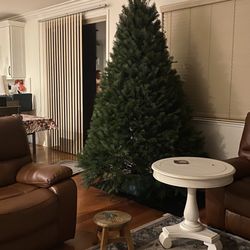 Lamb's Christmas Trees - The tree we picked this year