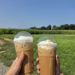 Neon Cattle Coffee