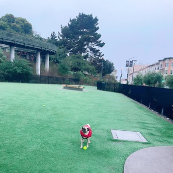 Francisco Park - Dog Parks Near Me - San Francisco, California
