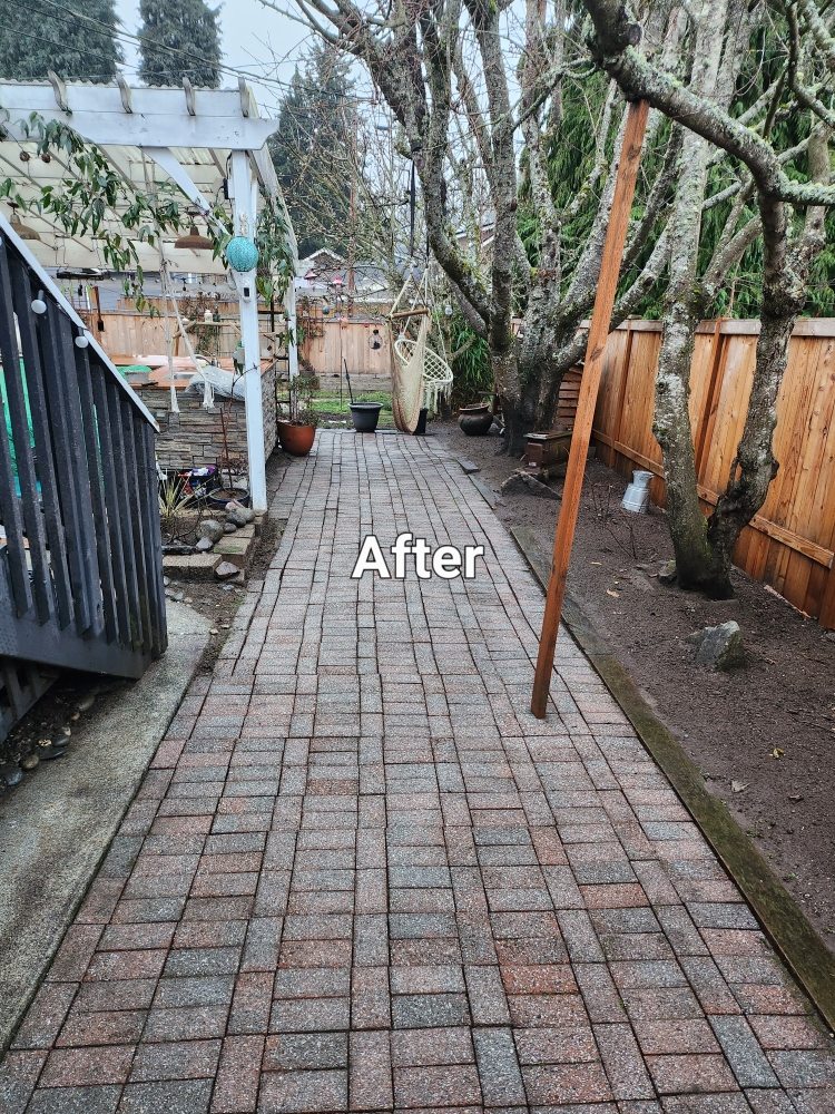 Lavish landscape - tree service in Tacoma, WA