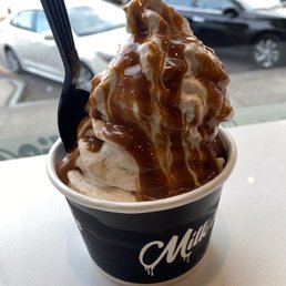 Ice Cream Cup Ice Cream Cup