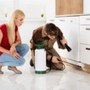 Lyons Pest Control