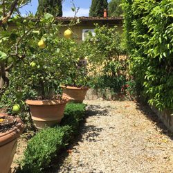 Villa Villoresi - Garden