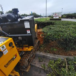 North Georgia Stump Grinding - Grinding 1 of 5 large pin oak stumps for a Zaxby's to re plant new trees!
