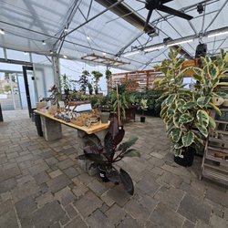 The Houseplant Hub