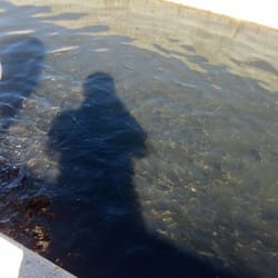 Fish Hatchery