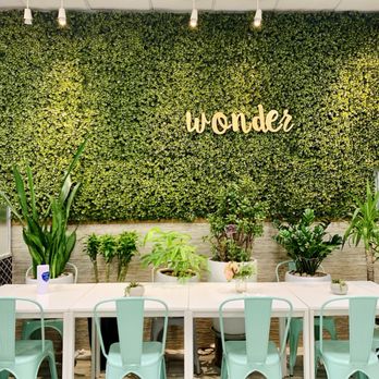 Tea City - a table and chairs in front of a wall of plants - Coffee & Tea Near Me - Aurora, Colorado