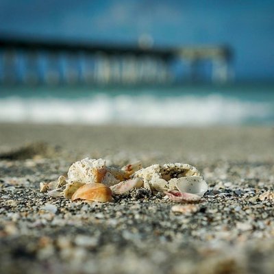 Home & Condo Rentals and Property Management