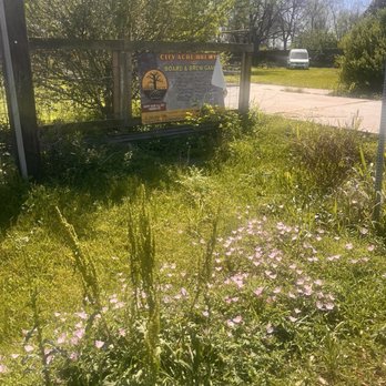 City Acre Brewing - Cut the grass! - Brewpubs Near Me - Houston, Texas City Acre Brewing - Cut the grass! - Brewpubs Near Me - Houston, Texas