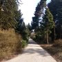 Photo of Von Gimborn Arboretum