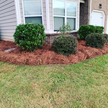 Lawn Giants - the front yard of a house - Lawn Services Near Me - Lexington, South Carolina Lawn Giants - the front yard of a house - Lawn Services Near Me - Lexington, South Carolina