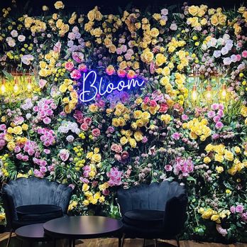Bloom Botanical Bistro - Gorgeous backdrop - New American Near Me - Queens, New York Bloom Botanical Bistro - Gorgeous backdrop - New American Near Me - Queens, New York