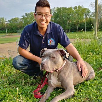 BFF Canine Obedience - Bff canine - Pet Training Near Me - Cincinnati, Ohio BFF Canine Obedience - Bff canine - Pet Training Near Me - Cincinnati, Ohio