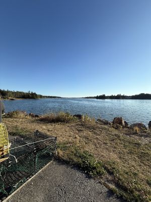 Archie's Lobster by null