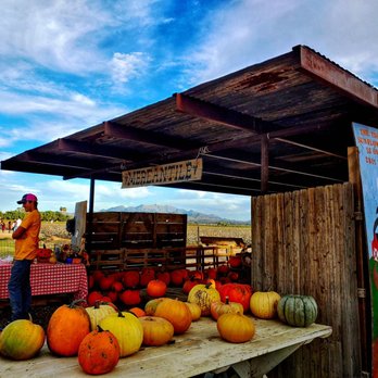 Rocker 7 Farm Patch - Pumpkin Patches Near Me - Buckeye, Arizona Rocker 7 Farm Patch - Pumpkin Patches Near Me - Buckeye, Arizona