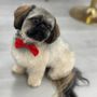Photo of Luxe Pups