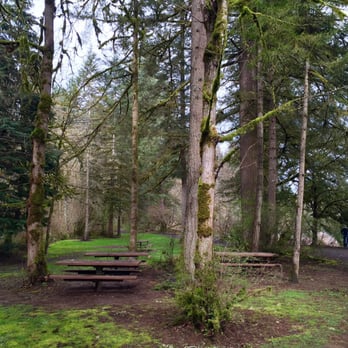 Lewisville Regional Park - Picnic Area at Lewisville Regional Park - Parks Near Me - Battle Ground, Washington Lewisville Regional Park - Picnic Area at Lewisville Regional Park - Parks Near Me - Battle Ground, Washington