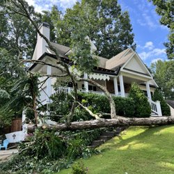 Richmond Tree Experts - White oak tree fallen in yard.
