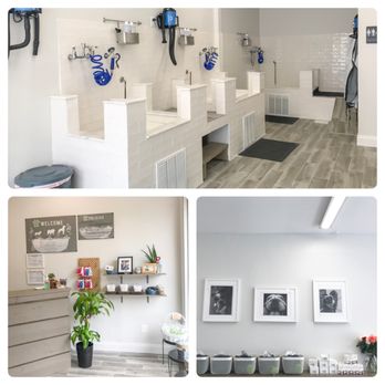 Pawtanicals - Clean and open space! - Pet Services Near Me - North Bergen, New Jersey Pawtanicals - Clean and open space! - Pet Services Near Me - North Bergen, New Jersey