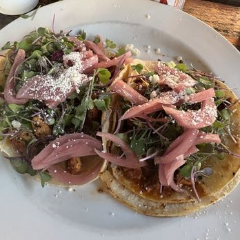 Downward Dog - Diners Near Me - Corvallis, Oregon
